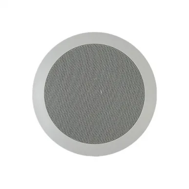 Потолочная акустика Davis Acoustics 100 RO